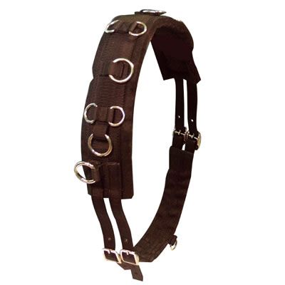 Intrepid Miniature Horse Lunging Surcingle Best Price