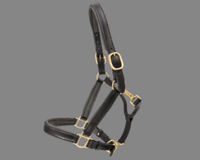 ThinLine Padded Leather Halter