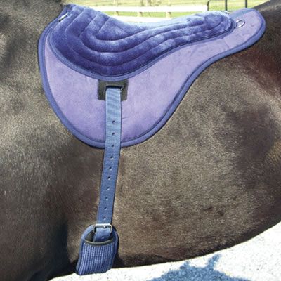 Best Friend Comfort Plus English Bareback Pad