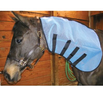 Intrepid  Mane Tamer Best Price