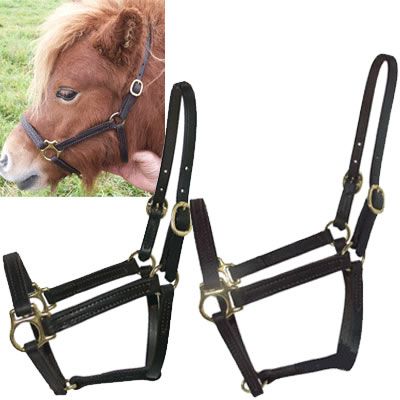 Intrepid Miniature Horse Leather Stable Halter