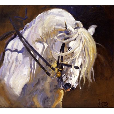 Andalusian Stallion Art Print by Malcom Coward Best Price