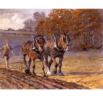 Autumn Furrows Art Print by Malcom Coward Best Price