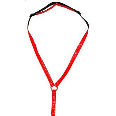Vis Equips Reflective Breastplate
