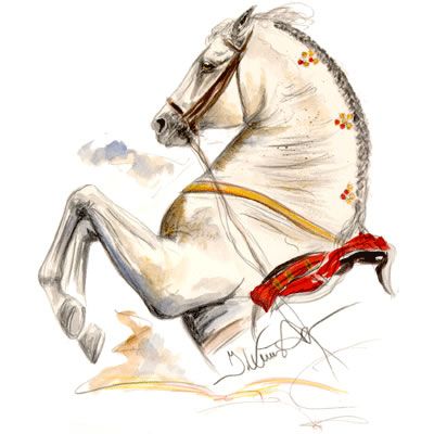 Ayamonte Lipizzan Art Print  by Jan Kunster Best Price