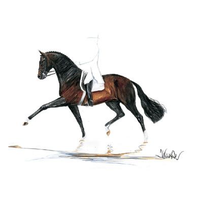 Biotop Dressage Art Print  by Jan Kunster Best Price