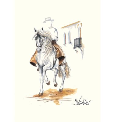 Cordoba Andalusian Art Print By Jan Kunster