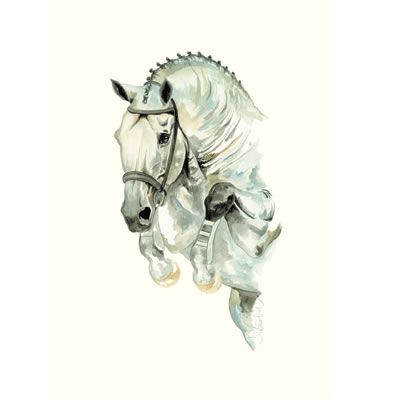 Daylight Showjumper Art Print by Jan Kunster