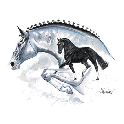Genua Eventing Horse Art Print By Jan Kunster