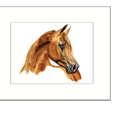 Wahid Arabian Art Print by Jan Kunster