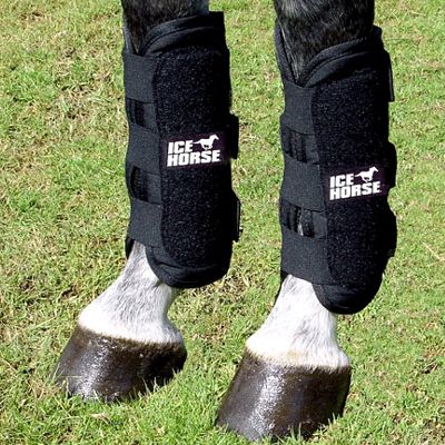 II Ice Horse Tendon Wraps Best Price