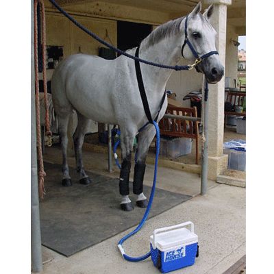 II Ice Horse First Ice Replcmnt Packs Best Price