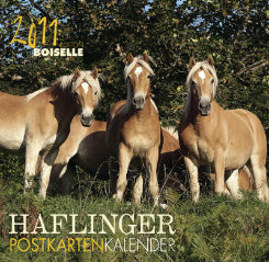 Gabriele Boiselle Haflinger 2011 Post Card Calendar