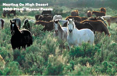 Intrepid Meeting On High Desert Puzzle