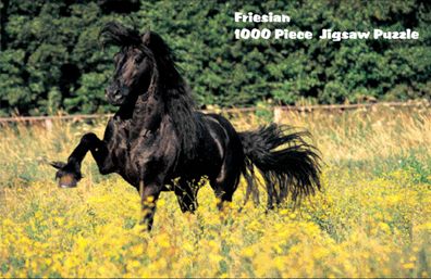 Intrepid Friesian Puzzle 