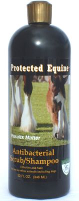 Americas Acres Protected Equine AntiBacterial Scrub/Shampoo Best Price