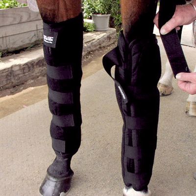 Ice Horse Knee to Ankle Wrap Best Price
