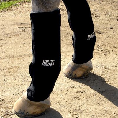 Ice Horse Evendura Low Knee to Pastern Wrap Best Price
