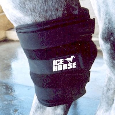 Ice Horse Hock Wrap Best Price