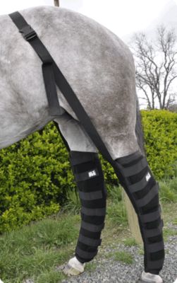 Ice Horse Full Leg Wraps Best Price