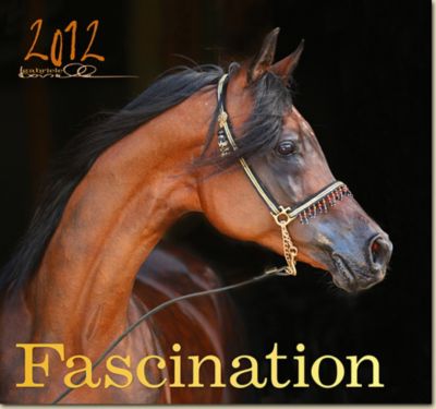 Boiselle Fascination Art Calendar 2012 Best Price