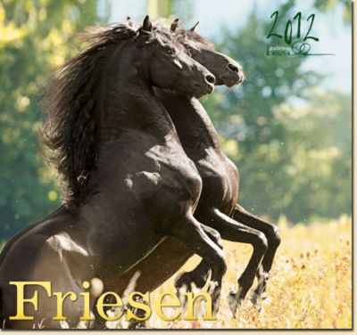 Gabriele Boiselle Friesian Large Calendar 2012 Best Price