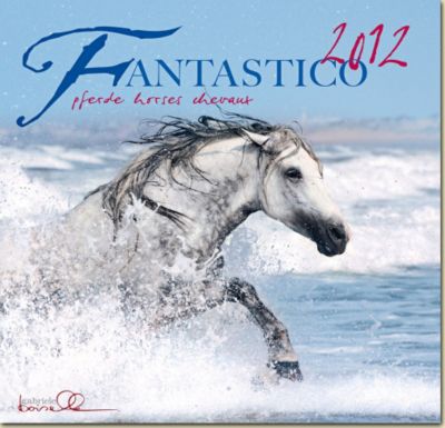 Gabrielle Boiselle Fantastico Art Calendar 2012 Best Price