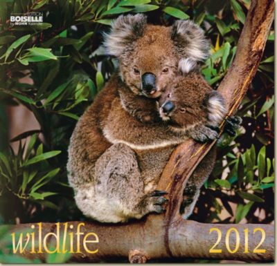 Gabriele Boiselle Wildlife Art Calendar 2012 Best Price