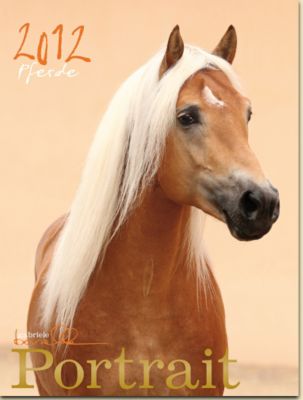 Gabriele Boiselle Portrait Calendar 2012 Best Price
