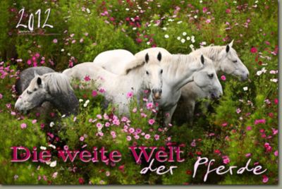 Gabriele Boiselle Wide World Of Horses Art Calendar 2012 Best Price