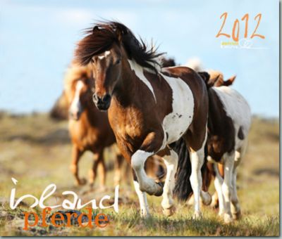 Gabriele Boiselle Icelandic Calendar 2012 Best Price
