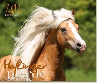 Gabriele Boiselle Haflingers Calendar 2012 Best Price