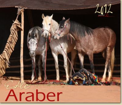 Gabriele Boiselle Arabian Calendar 2012 Best Price