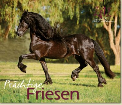 Gabriele Boiselle Freisan Mid Sized Calendar 2012 Best Price