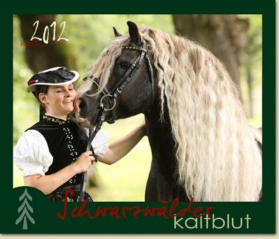 Gabriele Boiselle Black Forest Calendar 2012 Best Price