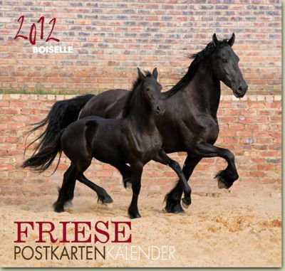 Gabriele Boisselle Friesian Post Card Calendar 2012 Best Price