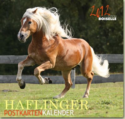 Gabriele Boisselle Haflinger Post Card Calendar 2012 Best Price
