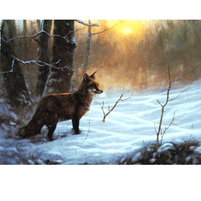 Sally Mitchell  On Point Christmas Cards Best Price