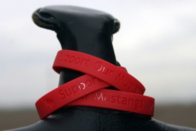 Jeanne Lambrecht Support Our Mustangs Bracelet