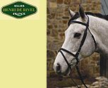 Henri de Rivel Collection Padded Dressage Bridle
