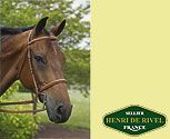 Henri de Rivel Fancy Raised Padded Bridle