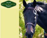 Henri de Rivel Fancy Raised Snaffle Bridle