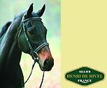 Henri de Rivel Padded Dressage Bridle with Flash