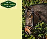 Henri de Rivel Collection Dressage Bridle with Crank