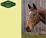 Henri de Rivel Plain Raised Bridle