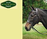 Henri de Rivel Collection Hunt Bridle