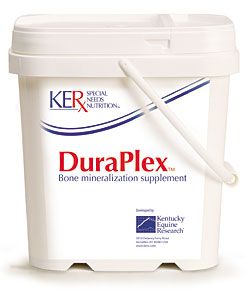 KER DuraPlex-2 kg Best Price
