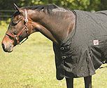 TuffRider 600D Mid Weight Rescue Horse Blanket