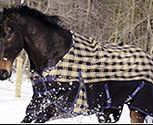 TuffRider 600D Plaid Fleece Lined Horse Turnout Blanket