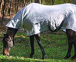 TuffRider Horse Fly Sheet with Hood